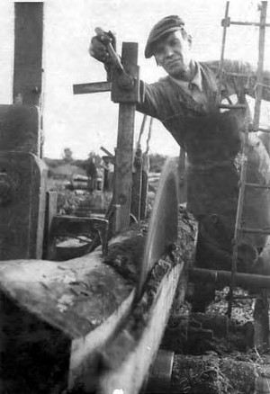 Подробнее о статье Колхоз имени В.И.Ленина (Ед.хр. 3852)