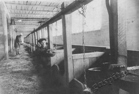 Подробнее о статье Колхоз имени В.И.Ленина (Ед.хр. 3862)