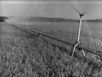 Подробнее о статье Колхоз имени В.И.Ленина (Ед.хр. 3883)