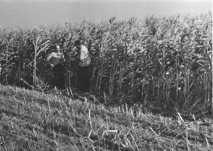 Подробнее о статье Колхоз имени В.И.Ленина (Ед.хр. 3886)