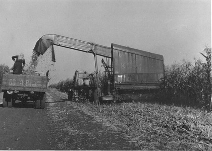 Подробнее о статье Колхоз имени В.И.Ленина (Ед.хр. 3887)