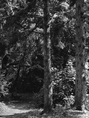 Подробнее о статье Колхоз имени В.И.Ленина (Ед.хр. 3889)