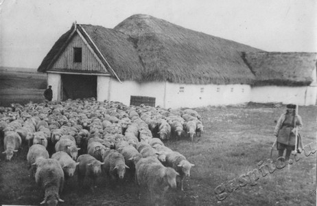 Подробнее о статье Колхоз имени В.И.Ленина (Ед.хр. 3890)