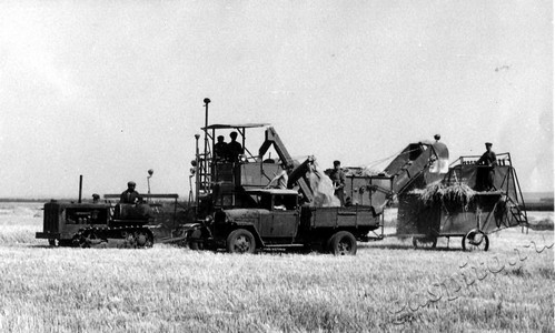 Подробнее о статье Колхоз имени В.И.Ленина (Ед.хр. 3908)