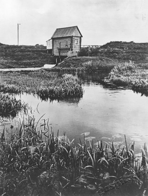 Подробнее о статье Первая колхозная гидроэлектростанция на реке Польной Воронеж (Ед.хр. 3995)