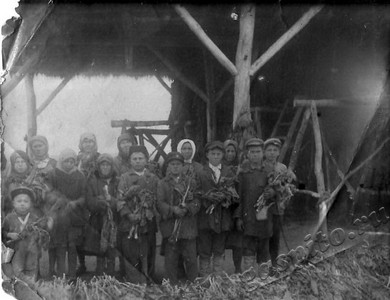 Подробнее о статье Рабочие Глазковского махорсовхоза (Ед.хр. 3997б)