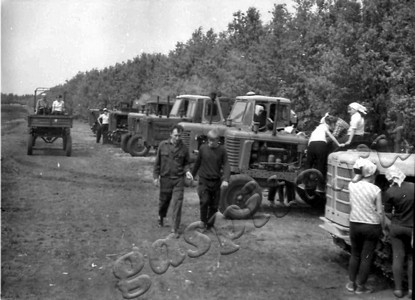 Подробнее о статье Студенты плодоовощного института им. И.В.Мичурина на семинарских занятиях (Ед.хр. 4047)