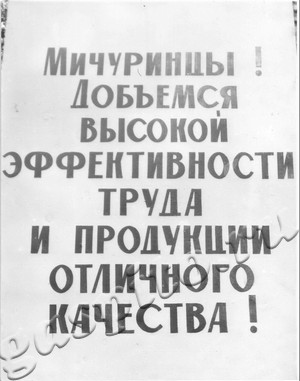 Подробнее о статье Наглядная агитация г.Мичуринска (Ед.хр. 4089)