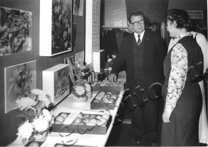 Подробнее о статье 30 Мичуринская городская партийная конференция (Ед.хр. 4128)