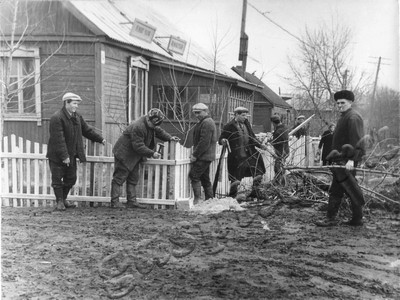 Подробнее о статье Ленинский субботник (Ед.хр. 4167)