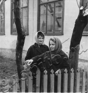 Подробнее о статье Ленинский субботник (Ед.хр. 4168)