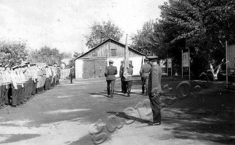 Подробнее о статье Слет призывников (Ед.хр. 4267)