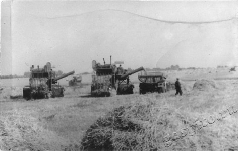 Подробнее о статье Уборка урожая в совхозе «Козловский» (Ед.хр. 4409)