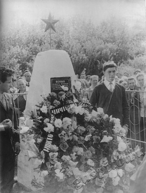 Подробнее о статье Возложение венков на братскую могилу (Ед.хр. 4438)