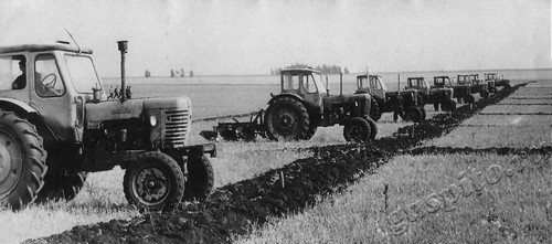 Подробнее о статье Районное соревнование пахарей (Ед.хр. 4479)