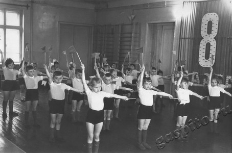 Подробнее о статье Детский сад № 8 (Ед.хр. 4520)