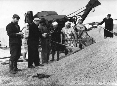 Подробнее о статье Работа на току в колхозе «Родина» (Ед.хр. 4554)