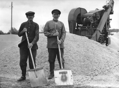 Подробнее о статье Работа на току в колхозе «Память Ильича» (Ед.хр. 4555)