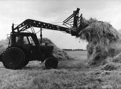 Подробнее о статье Скирдование соломы в колхозе им.Жданова (Ед.хр. 4562)