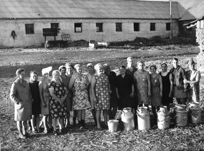 Подробнее о статье Колхоз «Россия» (Ед.хр. 4565)