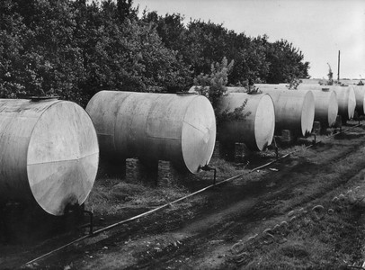 Подробнее о статье Колхоз «Россия» (Ед.хр. 4568)