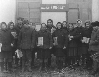 Подробнее о статье Учащиеся учебного комбината колхоза «50 лет ВЛКСМ» (Ед.хр. 4581)