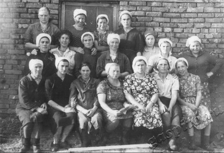 Подробнее о статье Работницы свинофермы колхоза «50 лет ВЛКСМ» (Ед.хр. 4583)