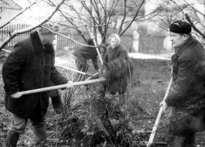Подробнее о статье Сотрудники районного объединения «Сельхозтехника» на субботнике (Ед.хр. 4599)