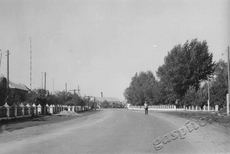 Подробнее о статье Улица села Вирятино (Ед.хр. 4645)