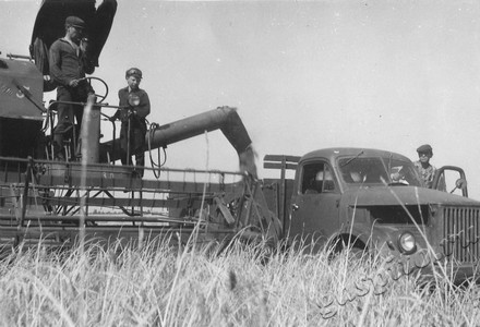 Подробнее о статье Уборка урожая (Ед.хр. 4646)