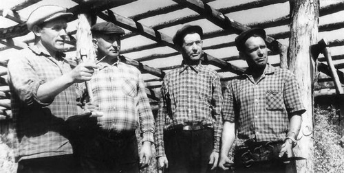 Подробнее о статье Бригада строителей колхоза «Путь Ленина» (Ед.хр. 4664)