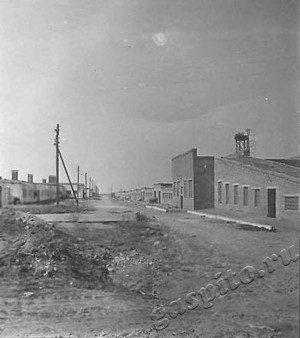 Подробнее о статье Животноводческий комплекс совхоза «КИМ» (Ед.хр. 4674)