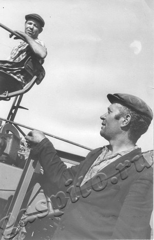 Подробнее о статье Уборка свеклы в совхозе «Дубровский» (Ед.хр. 4760)