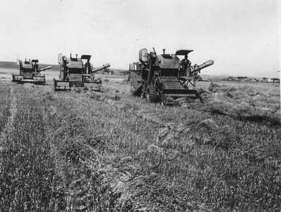 Подробнее о статье Колхоз им.Ленина (Ед.хр. 4762)