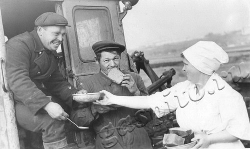 Подробнее о статье Колхоз им.Ленина (Ед.хр. 4764)