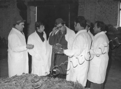 Подробнее о статье Пребывание делегации Долмандского госхоза (ВНР) на тамбовской земле (Ед.хр. 4791)