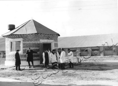 Подробнее о статье Пребывание делегации Долмандского госхоза (ВНР) на тамбовской земле (Ед.хр. 4796)