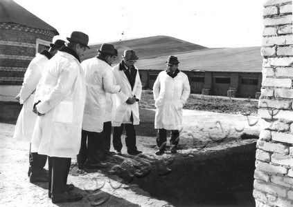 Подробнее о статье Пребывание делегации Долмандского госхоза (ВНР) на тамбовской земле (Ед.хр. 4797)