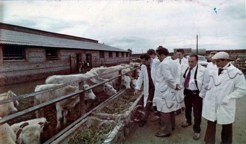 Подробнее о статье Пребывание делегации Долмандского госхоза (ВНР) на Новолядинском аграрно-промышленном объединении (Ед.хр. 4808)