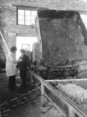 Подробнее о статье Тамбовское аграрно-промышленное объединение. Комбикормовый завод (Ед.хр. 4817)