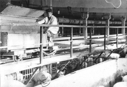 Подробнее о статье Тамбовское аграрно-промышленное объединение. Комбикормовый завод (Ед.хр. 4818)