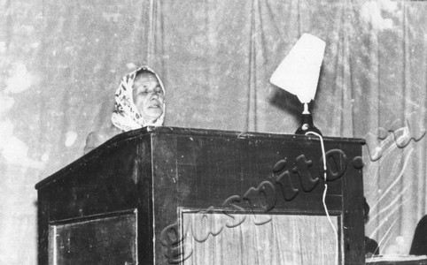 Подробнее о статье Отчетно-выборное собрание в колхозе «Память Ильича» (Ед.хр. 4866)