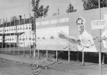 Подробнее о статье Доска почета Токаревского района (Ед.хр. 4868)