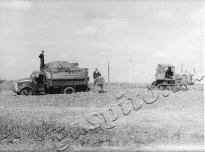 Подробнее о статье Колхоз им.Ленина (Ед.хр. 4878)