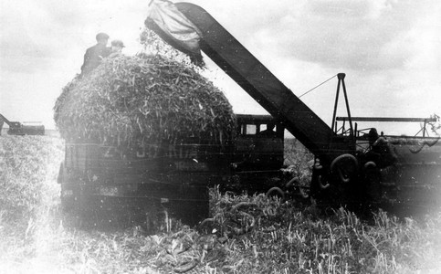 Подробнее о статье Колхоз «Заветы Ленина» (Ед.хр. 4892)