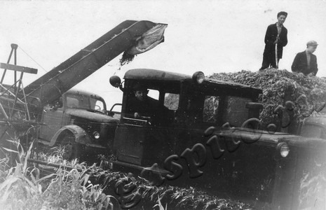 Подробнее о статье Колхоз «Заветы Ленина» (Ед.хр. 4893)