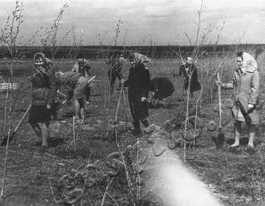 Подробнее о статье Уваровский химический завод (Ед.хр. 4944)