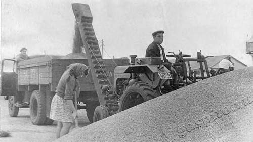 Подробнее о статье Центральный ток колхоза «Правда» (Ед.хр. 3696)