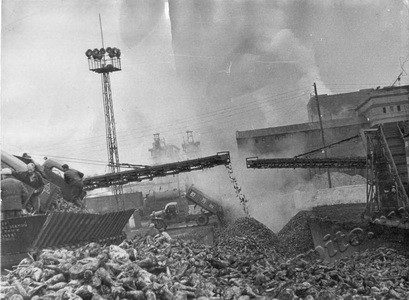 Подробнее о статье Загрузка сахарной свеклы (Ед.хр. 3699)