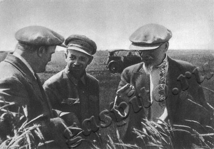 Подробнее о статье Фотодокументы к выставке, посвященной 90-летию со дня рождения М.И.Калинина (Ед.хр. 5060)